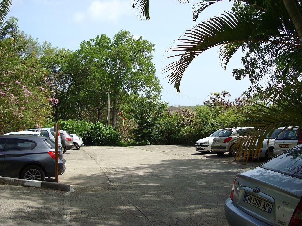Palm'Studio Anse De Caritan แซ็งแตนน์ ภายนอก รูปภาพ